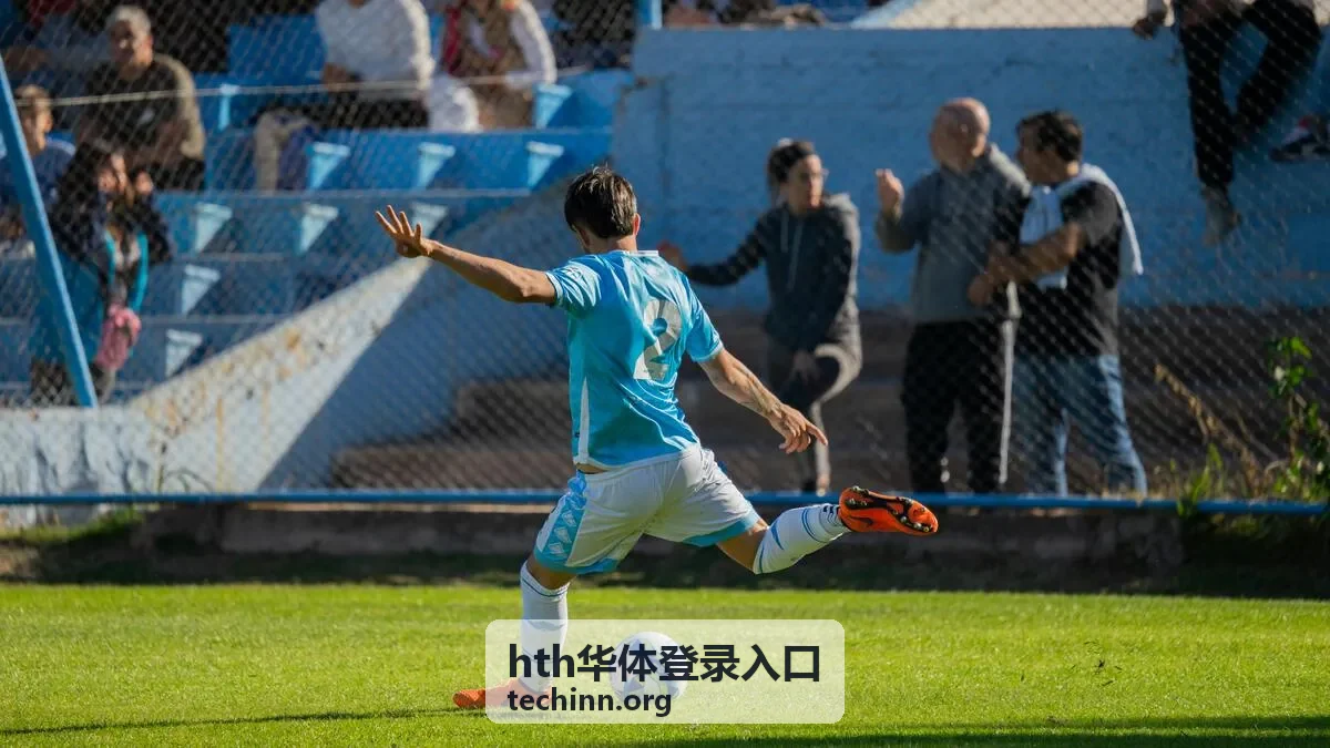 hth华体登录入口账号校验流程界面